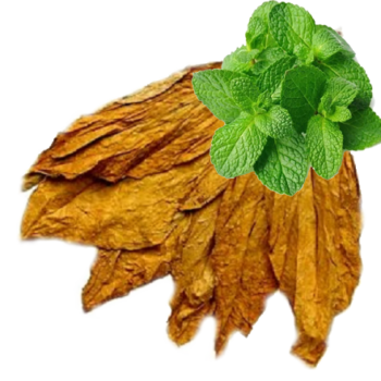 Mint Tobacco