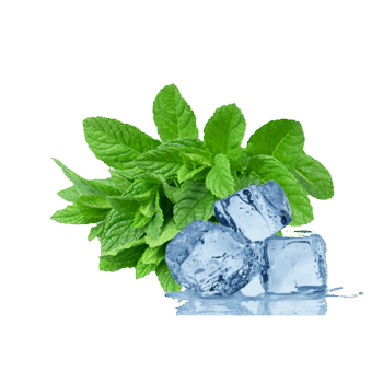 Menthol Breeze